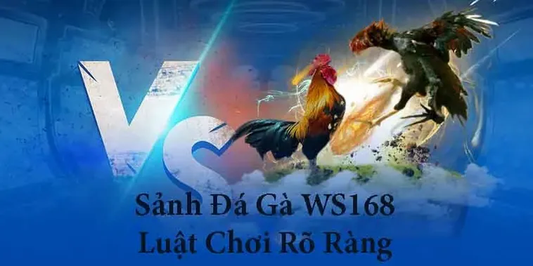 Nắm Trọn Cách Chơi Đá Gà WS168 Tại SP666 Và Rinh Thưởng Lớn 2 Nắm Trọn Cách Chơi Đá Gà WS168 Tại SP666 Và Rinh Thưởng Lớn