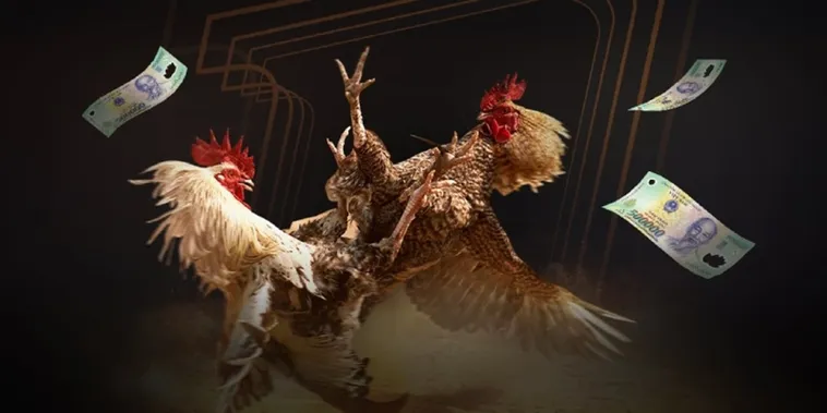 Đá Gà SP666 Trực Tiếp Đỉnh Cao Chinh Phục Mọi Kèo Cược 1 Đá Gà SP666 Trực Tiếp Đỉnh Cao Chinh Phục Mọi Kèo Cược