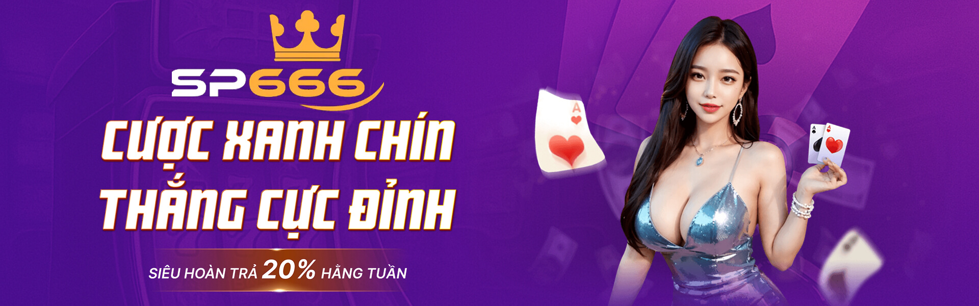 banner sp666